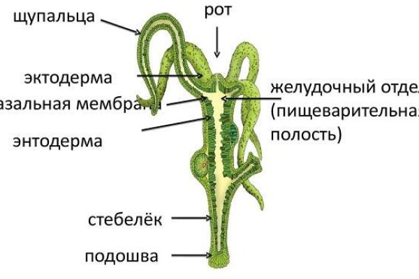 Ссылка на омг омг в тор браузере